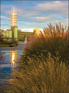 Stony Brook University Campus Photo