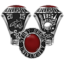Stony Brook University His Rings Image